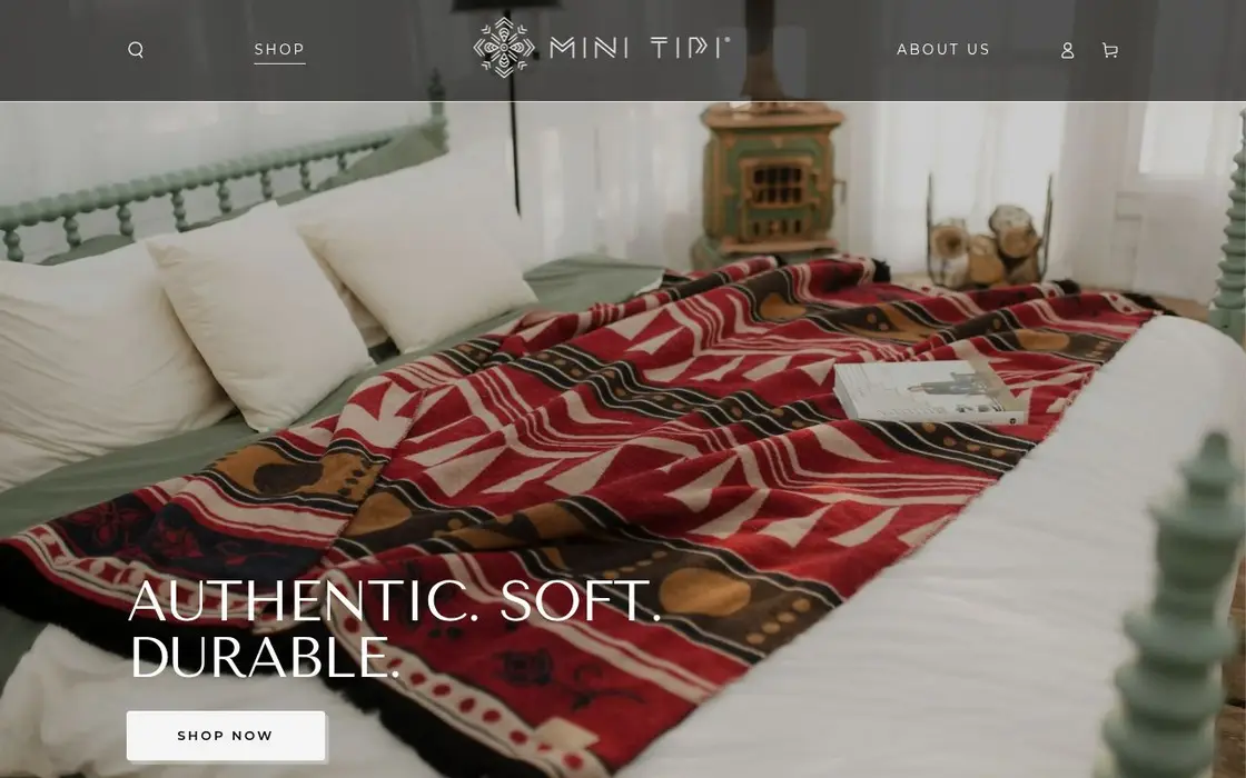 Mini Tipi website